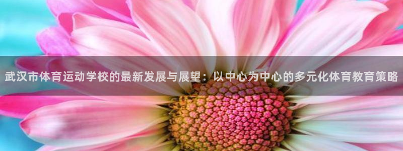 武汉市体育运动学校的最新发展与展望：以中心为中心的多元化体育教育策略