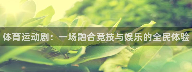 体育运动剧：一场融合竞技与娱乐的全民体验