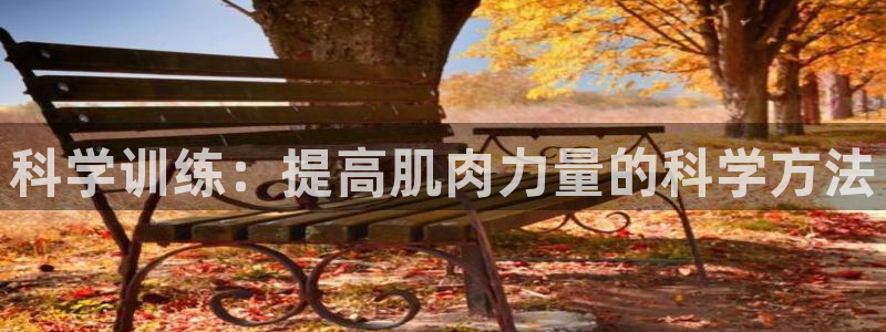 科学训练：提高肌肉力量的科学方法