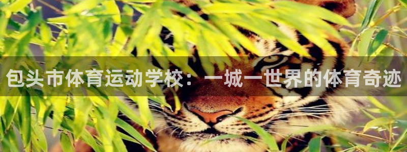 包头市体育运动学校：一城一世界的体育奇迹
