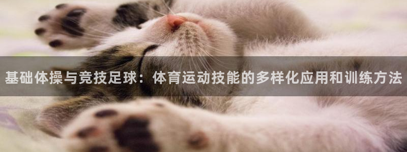 基础体操与竞技足球：体育运动技能的多样化应用和训练方法