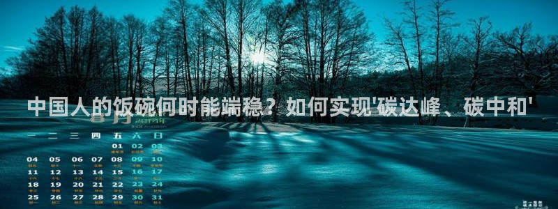 中国人的饭碗何时能端稳？如何实现\'碳达峰、碳中和\'