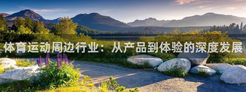 体育运动周边行业：从产品到体验的深度发展