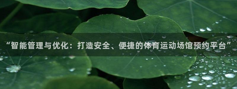 “智能管理与优化：打造安全、便捷的体育运动场馆预约平台”