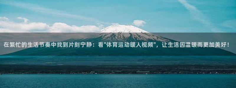 在繁忙的生活节奏中找到片刻宁静：看\