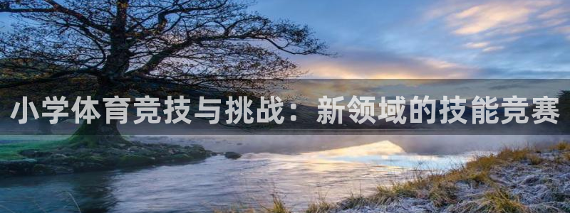 小学体育竞技与挑战：新领域的技能竞赛
