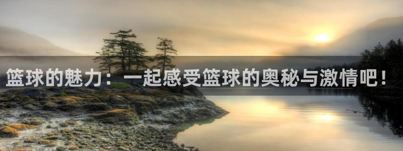 篮球的魅力：一起感受篮球的奥秘与激情吧！