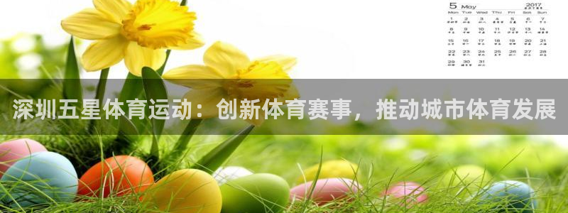 深圳五星体育运动：创新体育赛事，推动城市体育发展