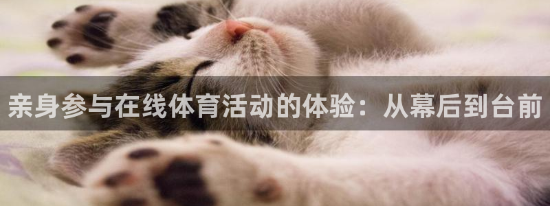 亲身参与在线体育活动的体验：从幕后到台前