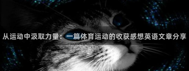 从运动中汲取力量：一篇体育运动的收获感想英语文章分享