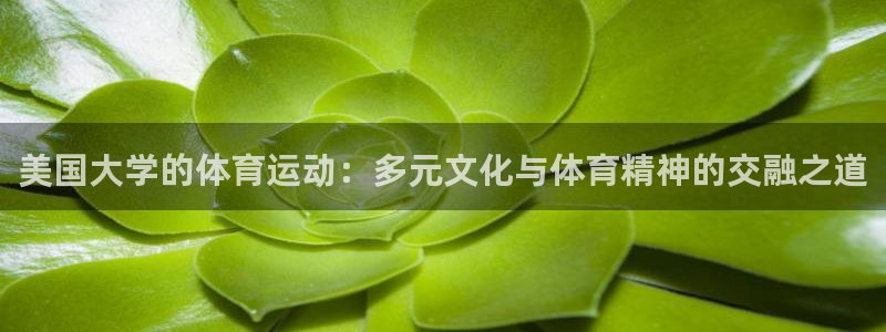 美国大学的体育运动：多元文化与体育精神的交融之道