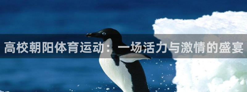 高校朝阳体育运动：一场活力与激情的盛宴