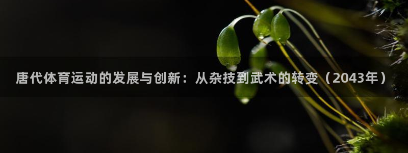 唐代体育运动的发展与创新：从杂技到武术的转变（2043年）