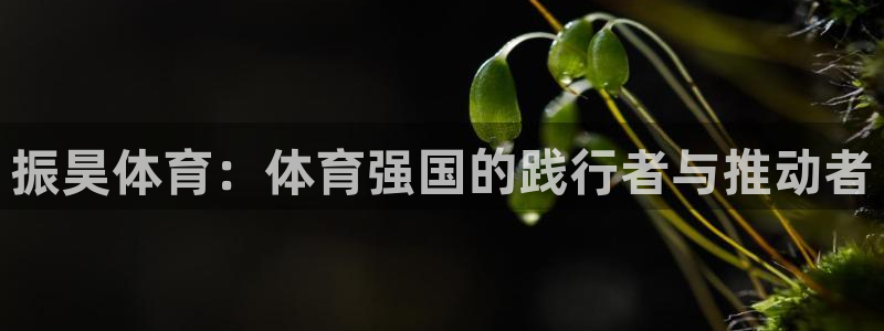 振昊体育：体育强国的践行者与推动者