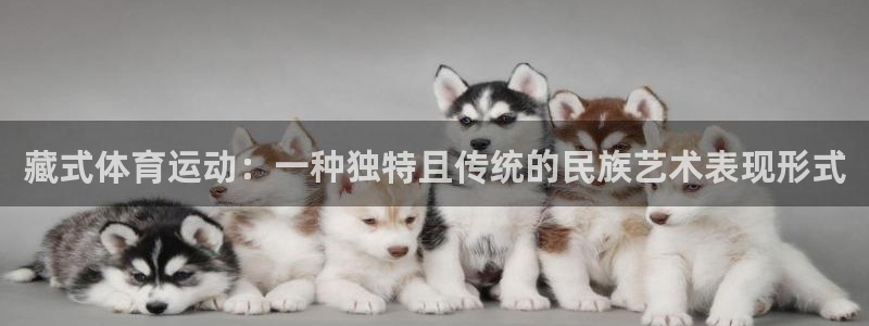 藏式体育运动：一种独特且传统的民族艺术表现形式
